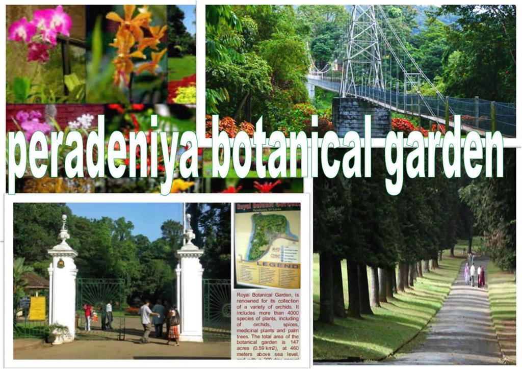 Greenwood Kandy Homestay Εξωτερικό φωτογραφία