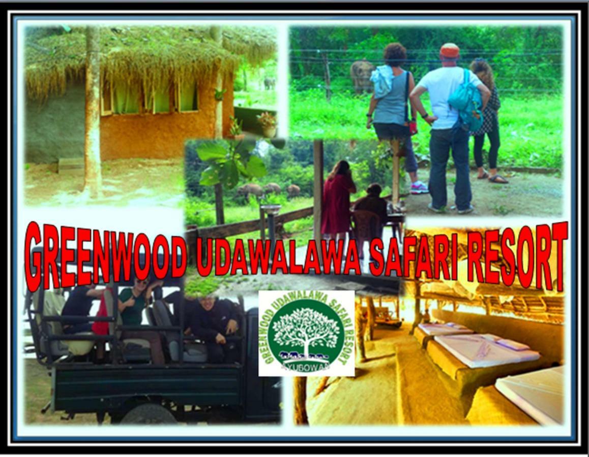 Greenwood Kandy Homestay Εξωτερικό φωτογραφία
