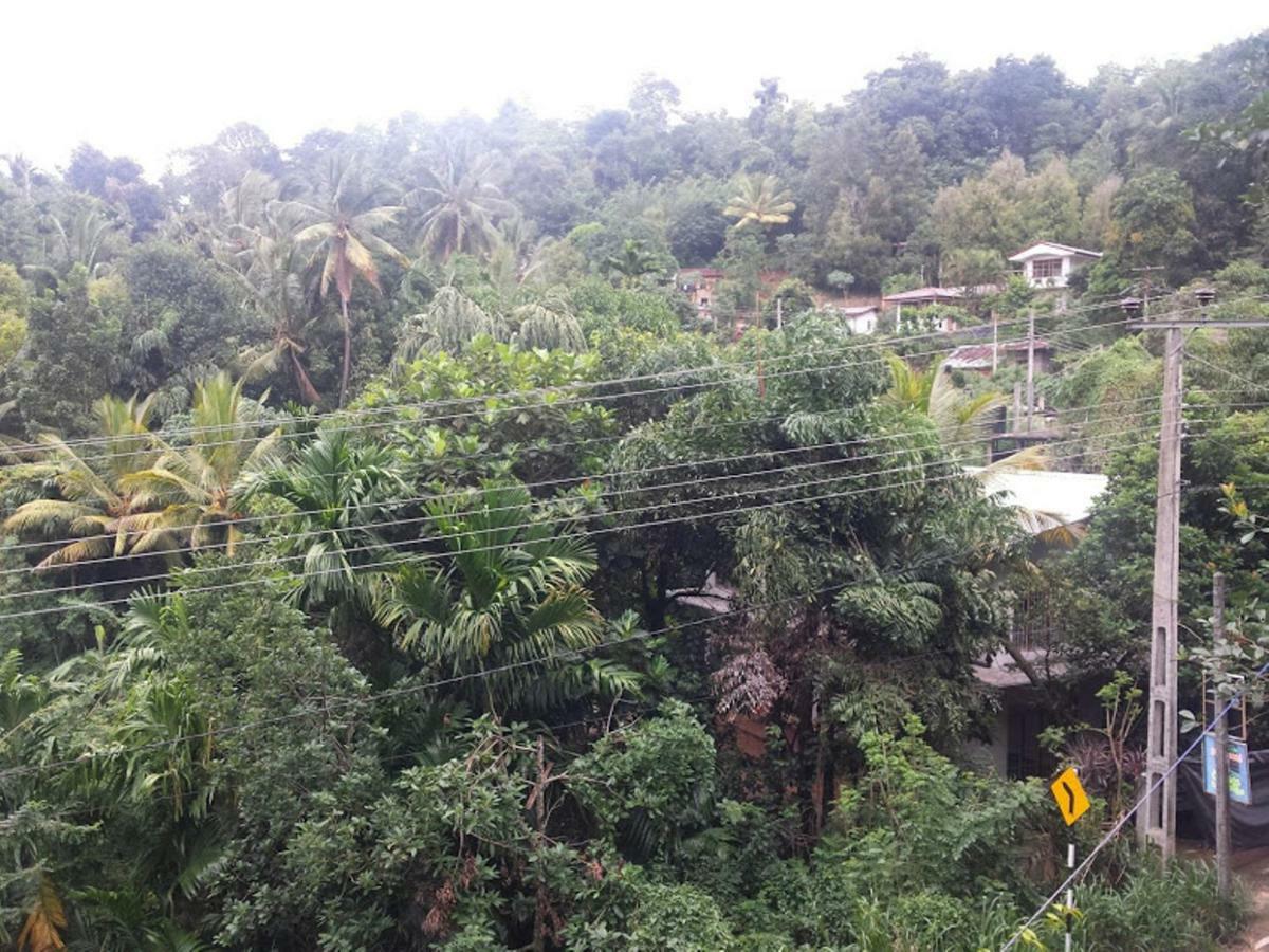 Greenwood Kandy Homestay Εξωτερικό φωτογραφία